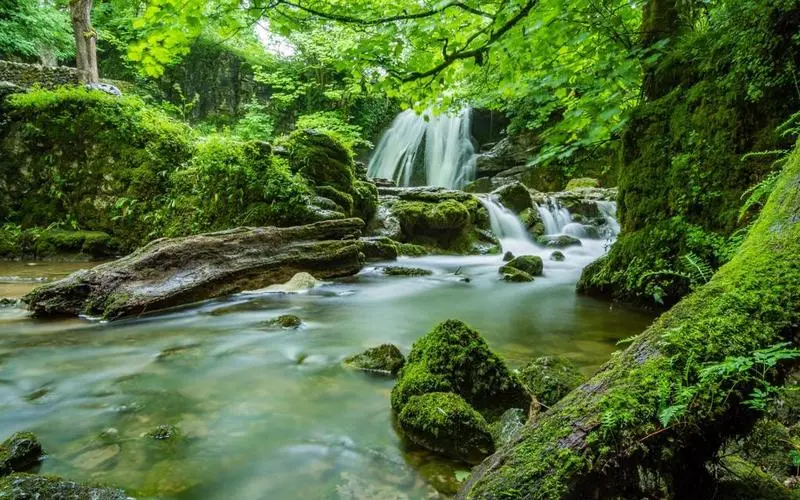 科技电子高性能